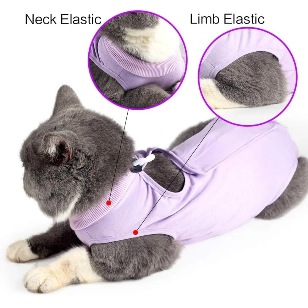 Cat post surgery recovery suit